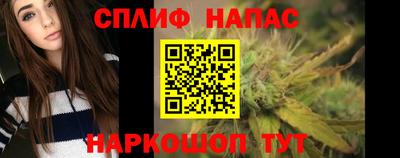 ALPHA PVP Гатчина