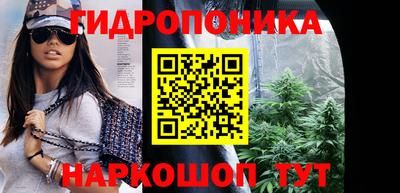ALPHA PVP Гатчина